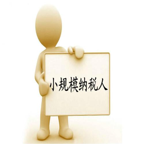 小規模登記成一般人將在網上辦理，截止日期是2018.11.20前